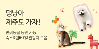 �ݷ����� ���ݰ��� ��õ ��ȹ��