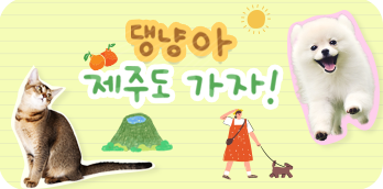 �ݷ����� ���� ��ȹ��